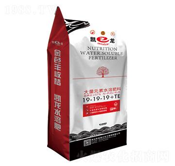 ����Ԫ��ˮ�ܷ���19-19-19+TE-�P��-�P�����d
