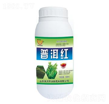 �ն��t-�������