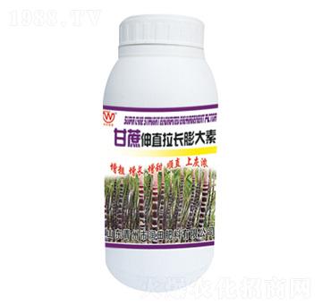 ������ֱ���L�����-��