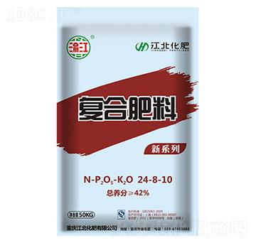 �ͺϷ���24-8-10