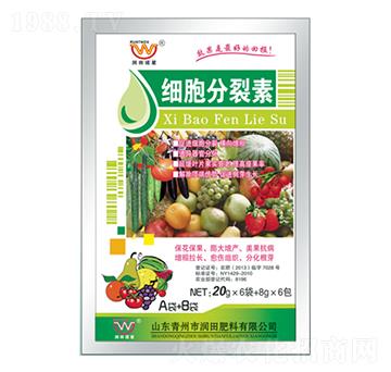 ����������A+B-����