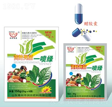 �S�~����һ���G-�����