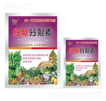 ������-�������