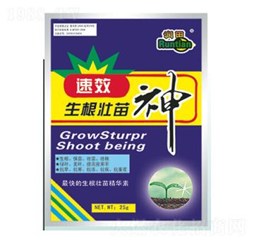 ����������-�������