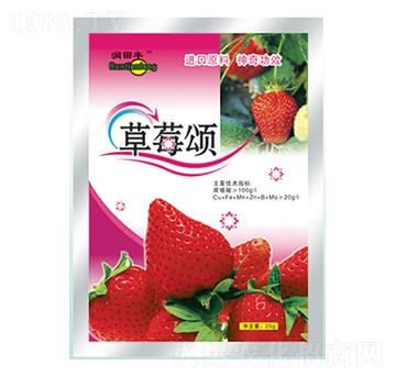 ��ݮ�-�������