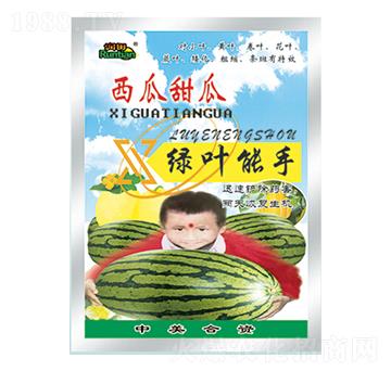 ������ϾG�~����-�������