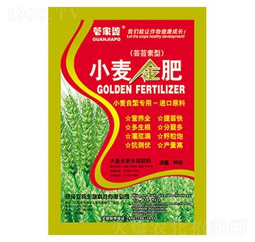 С�����-�ܼ���-����