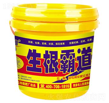 �����Ե�-��������