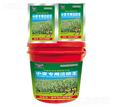 С������Һ����-������