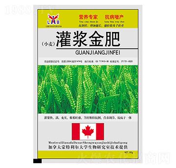 С�����{���-��������