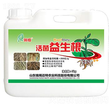 ���������-��ֲ-���w�~��