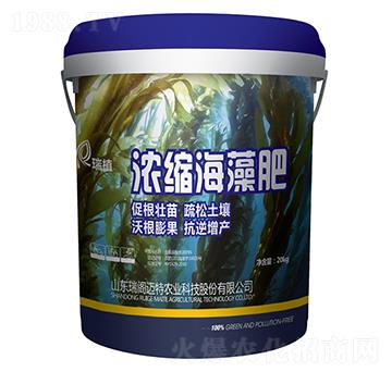 ��s�����-��ֲ-���w�~��