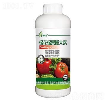 �������������-��ɵ�-���w�~��