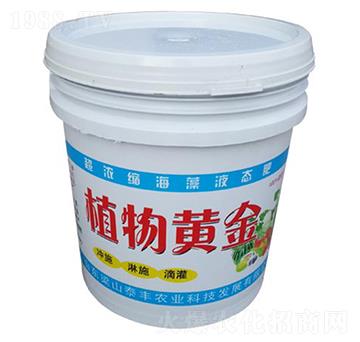 ����s����Һ�B(t��i)��-ֲ���S��-��ɽ̩�S