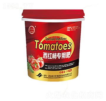 ���t�����÷�-��ɽ̩�S