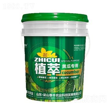 �S�ό���-ֲ��-��ɽ̩�S