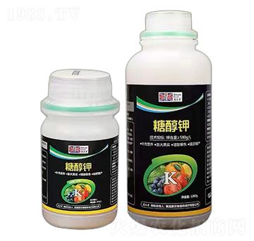 �Ǵ���~���-Ӣ����