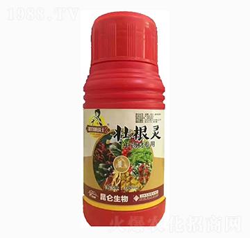 ��ˎ�ĉѸ��`-�����_