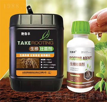 �������焩-���_����