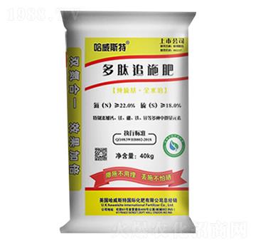 ����׷ʩ��-����