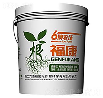 ������-������