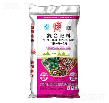 ���Ⱥ��҈�(ji��n)����(zhu��n)�Ï�(f��)�Ϸ�