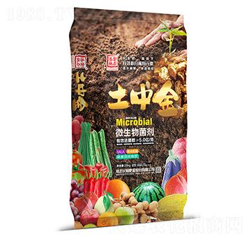 ΢�������-���н�-��