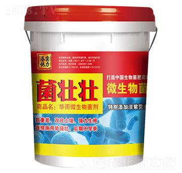 ΢�������-���щ�-��