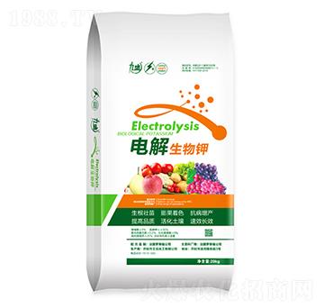 늽������-��ʢ-����