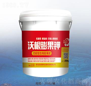 �ָ�����-�ٝ��ݰ�