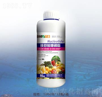 ����������֬-�ٝ��ݰ�