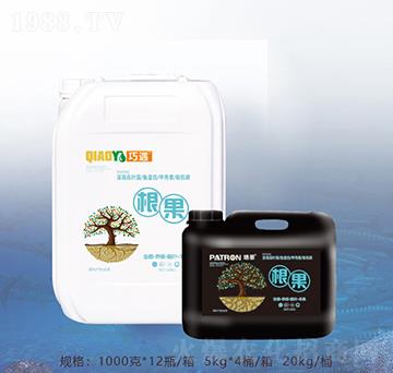 ����-�ٝ��ݰ�