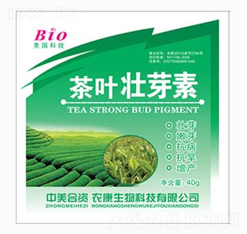 ���~��ѿ��-�r������