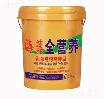 ������}����� ȫ�I�B(y��ng)