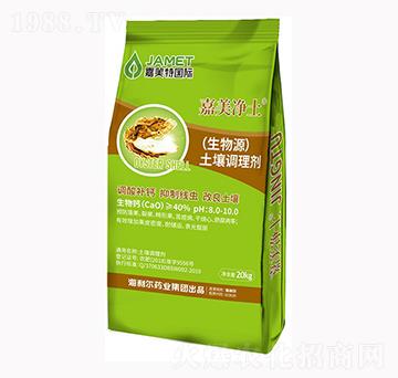 �����{�턩-��������-������