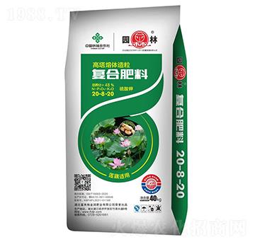 ɏź�m�Ï�(f��)�Ϸ���20-8-20-�@��-������