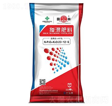 �������23-12-6-�@��-������