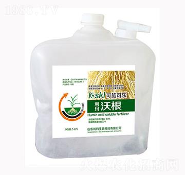 �ָ�-��������