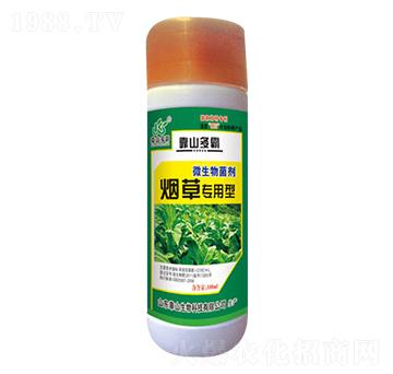 ���݌�����΢�������-