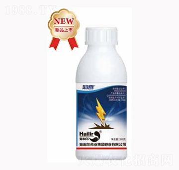 ����-������