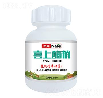 ϲ��ø��-�{��-�ְ�ʘI(y��)