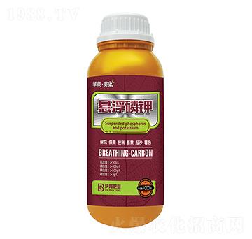 �Ҹ�����~���-���R������-�ְ�ʘI(y��)