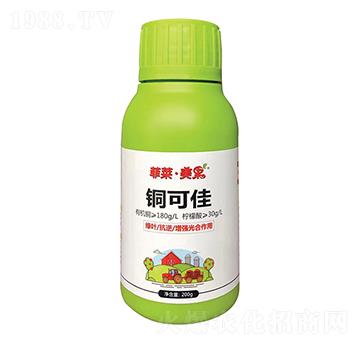 �~�ɼ�-���R������-�ְ�ʘI(y��)