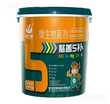 ΢�������-���w5�a-������