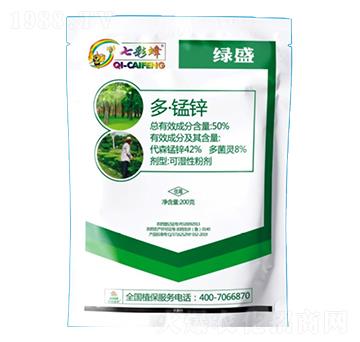 50%�ࡤ�i�\-�߲ʷ�