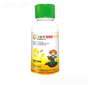 12%�װ������S���ر�