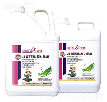 24-���|̦�؃�(n��i)����S