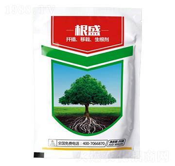 20g���˸�ʢ-������r(n��ng)