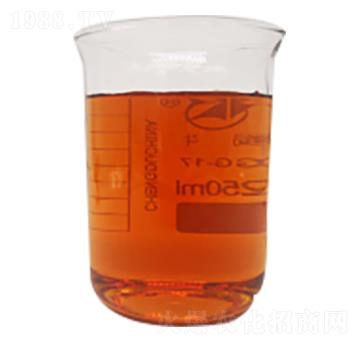 ø�ⰱ����-�����Ƽ�