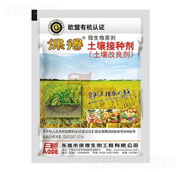 �����ӷN��-��������